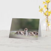 Carte Photo de la nature des oiseaux mignons (Fleur jaune)
