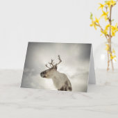 Carte Photo de la nature des rennes (Fleur jaune)