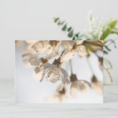 Carte photo de la nature en fleurs de cerisiers (Debout devant)