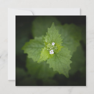 Carte Photo de la nature florale