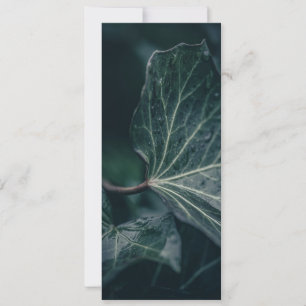 Carte Photo de la nature jaune d'ivoire foncé