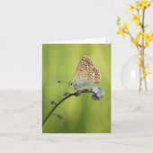 Carte Photo de la nature papillon (Fleur jaune)