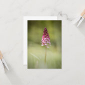 Carte Photo de la nature sauvage de l'orchidée (Devant/Arrière en situation)