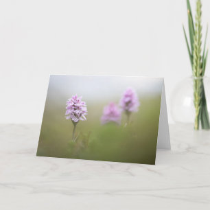 Carte Photo de la nature sauvage de l'orchidée