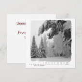 Carte photo de la photographie de Noël (Devant / Derrière)