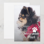 Carte photo de la Sympathie commémorative de la pe (Devant / Derrière)