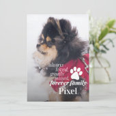 Carte photo de la Sympathie commémorative de la pe (Debout devant)