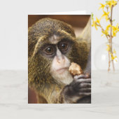 Carte Photo de l'arbre de l'Escalade singe (Fleur jaune)