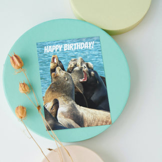 Carte Photo de lions de mer pour tous les anniversaires