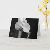 Carte Photo de l'orchidée noire et blanche "Joyeux anniv (Fleur jaune)