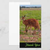 Carte photo de Merci - kangourou rouge australien (Devant / Derrière)
