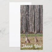 Carte photo de Merci - kangourous australiens (Devant / Derrière)