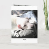 Carte Photo de mignon chien blanc avec papa Thanksgiving (Dos)