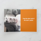 Carte Photo de mignon chien blanc avec papa Thanksgiving (Intérieur)