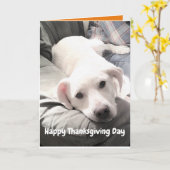 Carte Photo de mignon chien blanc avec papa Thanksgiving (Fleur jaune)