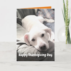 Carte Photo de mignon chien blanc avec papa Thanksgiving