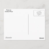 Carte photo de moto ancien (Dos)