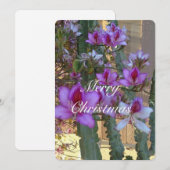 Carte photo de Noël 5X7 (Devant / Derrière)