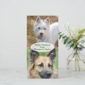 Carte photo de Noël des chiens (Debout devant)