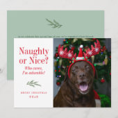Carte photo de Noël drôle Naughty ou Nice Pet (Devant / Derrière)