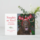 Carte photo de Noël drôle Naughty ou Nice Pet (Debout devant)