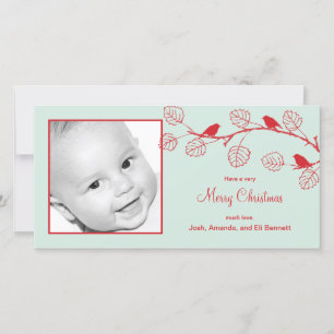 Carte photo de Noël Oiseaux de vacances