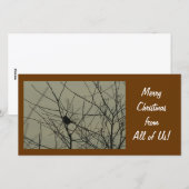 Carte photo de Noël : Petit Oiseau (Devant / Derrière)