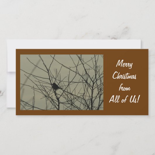 Carte photo de Noël : Petit Oiseau (Devant)