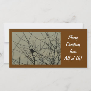 Carte photo de Noël : Petit Oiseau
