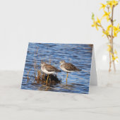 Carte photo de petite jambe jaune (Fleur jaune)