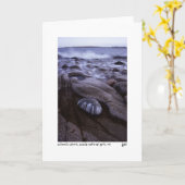 Carte photo de rivage de Schoodic (Fleur jaune)