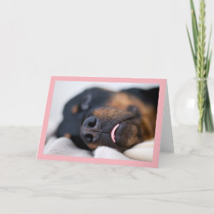 Carte photo de rottweiler de sommeil