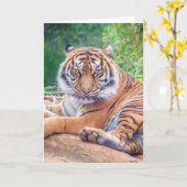 Carte Photo de tigre étonnante (Fleur jaune)