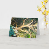 Carte Photo de tronc d'arbre (Fleur jaune)