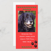 Carte photo de vacances (Devant / Derrière)