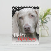 Carte photo de vacances | Doggie Love (Debout devant)