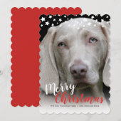 Carte photo de vacances | Doggie Love (Devant / Derrière)