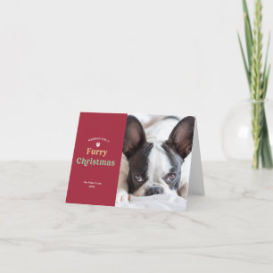 Carte photo de vacances Fer Noël Chien rouge ou Ch
