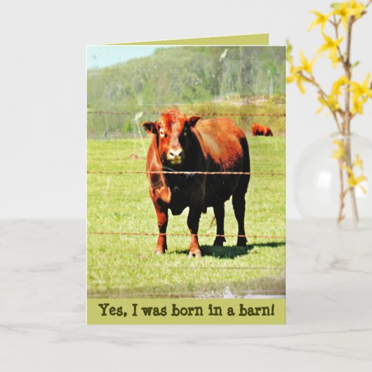 Carte Photo de vache (Fleur jaune)