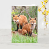 Carte Photo des kits adorables de renard rouge (Fleur jaune)