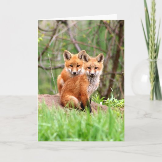 Carte Photo des kits adorables de renard rouge se (Devant)