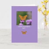 Carte photo d'insecte à la lavande (Fleur jaune)