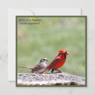 Carte Photo d'oiseau et graphique ~ risingdove.