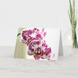 Carte Photo d'orchidée violette variée Pensée pour vous
