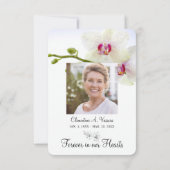 Carte Photo d'orchidées blanches de 3,5 po x 5 po (Dos)