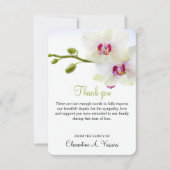 Carte Photo d'orchidées blanches de 3,5 po x 5 po (Devant)