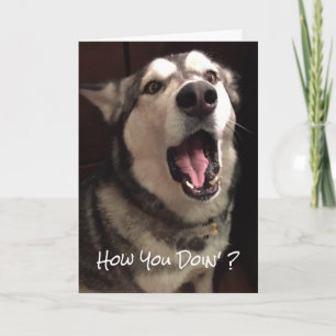 Carte Photo drôle d'Alaskan Malamute pour penser à vous