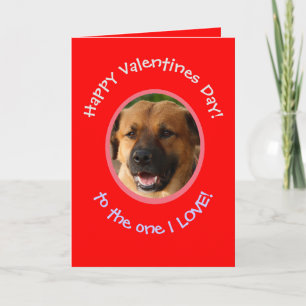 Carte photo drôle de la Saint-Valentin de chien à
