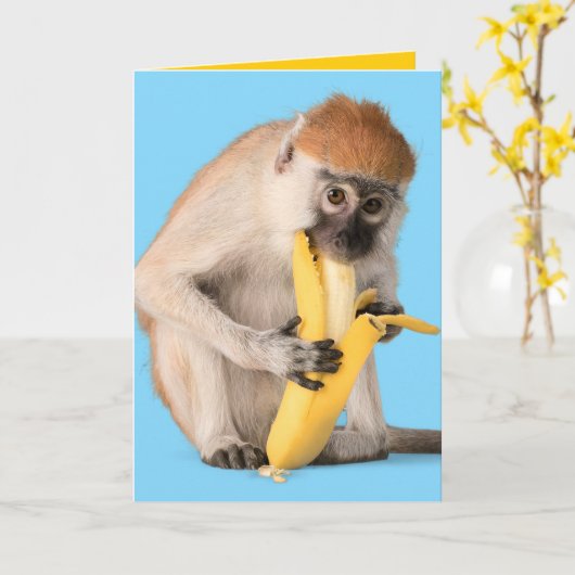 Carte Photo drôle d'un mignon singe mangeant une banane (Fleur jaune)