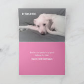 Carte Photo du chien triste se cachant derrière la queue (Intérieur)